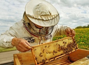 apiarist