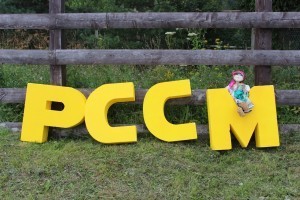 РССМ3