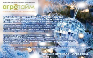 С Новым 2019 годом!