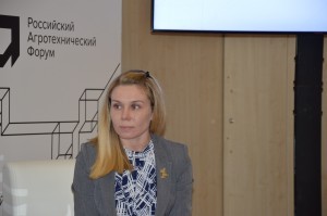 Елкина