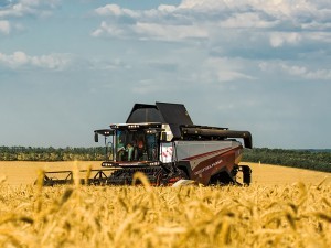 D81_8780