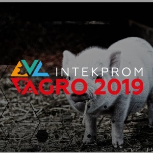 баннер_AGRO_19_500