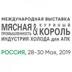 -russia-2019