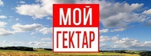 Без названия (1)
