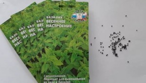 базилик_семена