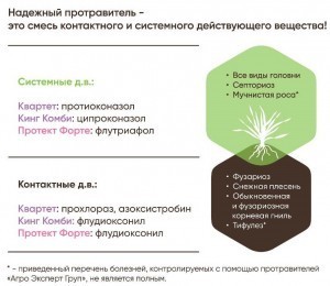8000_Стратегия 1