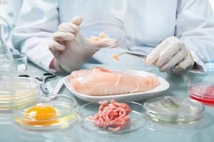 Quality control expert inspecting at food specimen in the laboratory