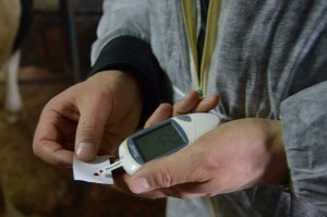 замер глюкозы