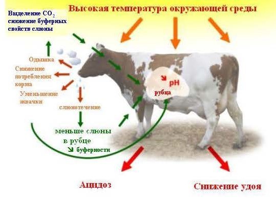 ф БУРЯКОВ_Страница_2