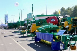 IMG_1337