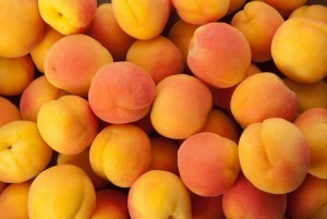 apricots2