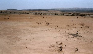 image002