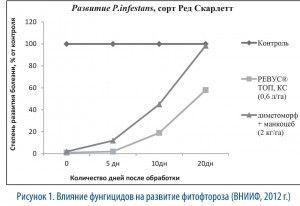 рис 1