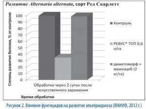 рис 2