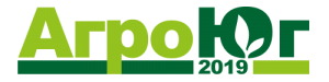 Logo_AY_2019_ru_500х125