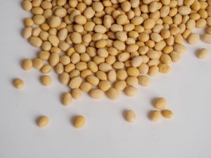 TIMK7045