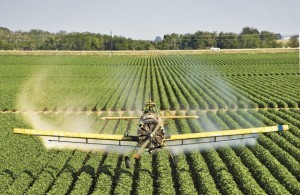 cropduster_1