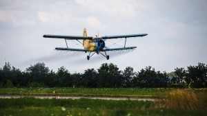золотые крылья-82