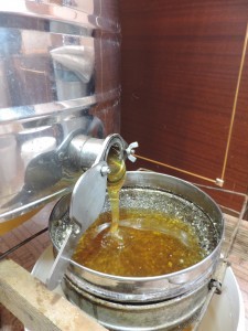 DSCN8377