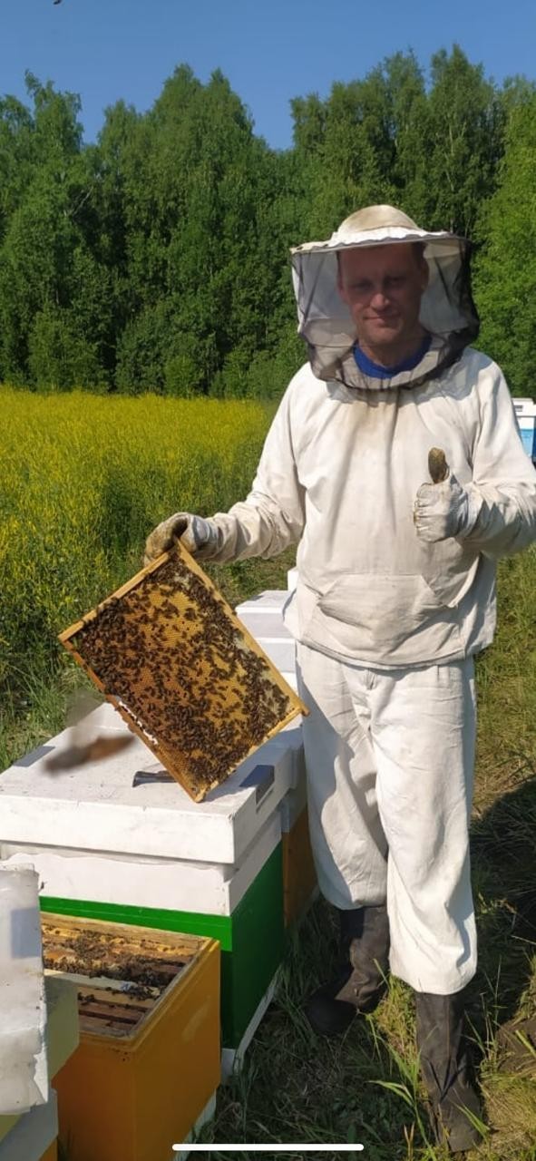 Пчеловоды омска. Пчеловод. Безопасность пасек от пестицидов.